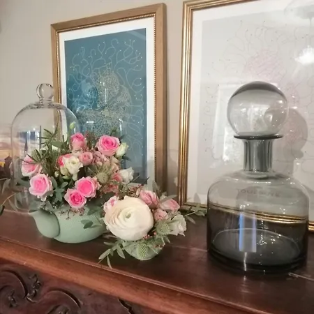 La Maison De Julia Bed & Breakfast Albi