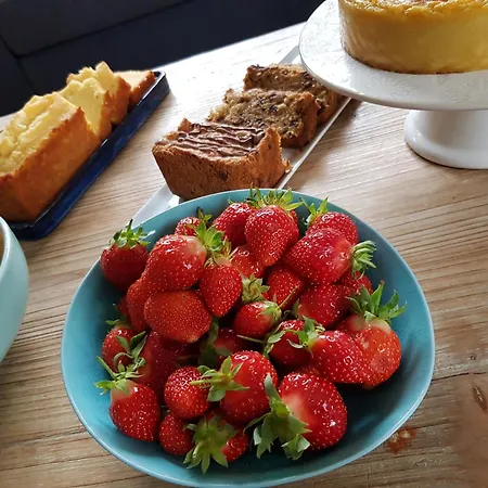 La Maison De Julia 4* Αλμπί