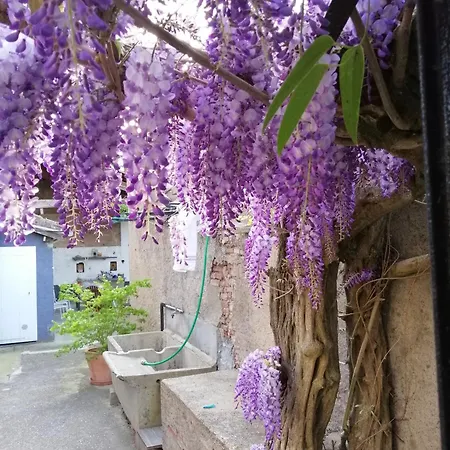 La Maison De Julia